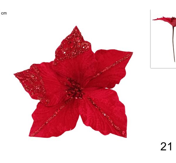 XNA24035121 8053482356785