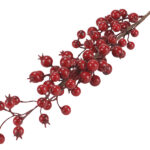 d55d948d24694956894ab012c7fc39a9 1